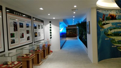 500平米展廳設(shè)計(jì)制作：現(xiàn)代/綠色，教育類(lèi)展廳-桂林植物園科普展廳（免費(fèi)使用）